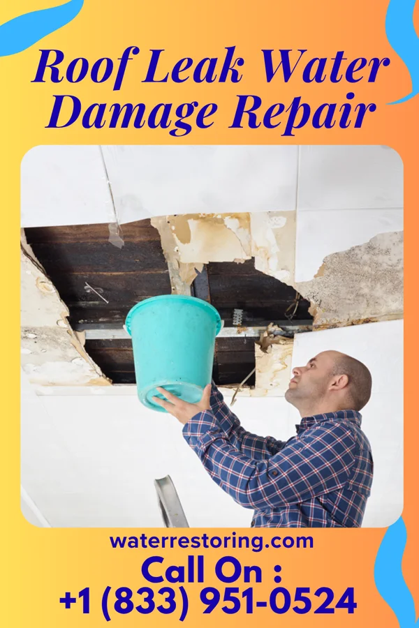 Roof Leak Water Damage Repair in Eolia, MO